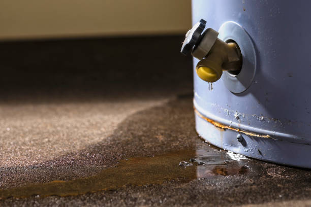 Best Commercial water damage restoration  in Bokeelia, FL