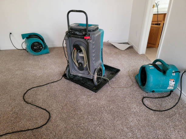 Best Water damage cleanup near me  in Bokeelia, FL