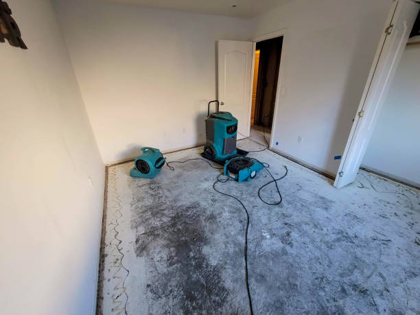 Best Basement water damage restoration  in Bokeelia, FL