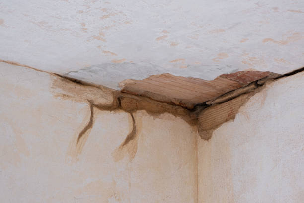 Best Professional water damage repair  in Bokeelia, FL