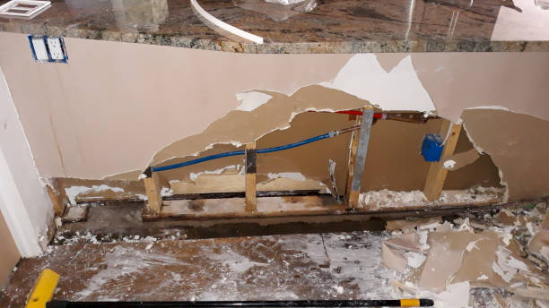 Best Professional water damage repair  in Bokeelia, FL