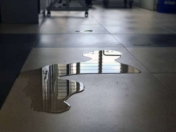 Best 24/7 water damage repair  in Bokeelia, FL