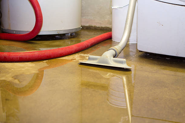 Best Flood restoration services  in Bokeelia, FL