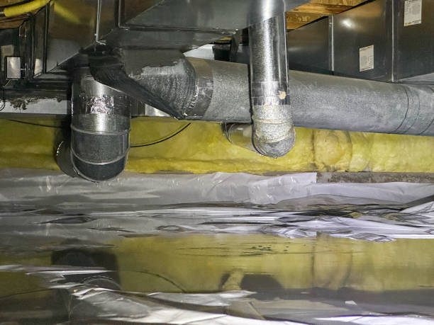 Best Flood damage cleanup  in Bokeelia, FL