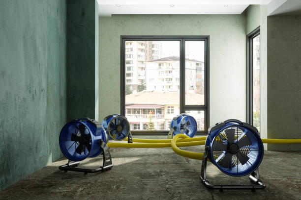 Best Sewage cleanup and water damage restoration  in Bokeelia, FL